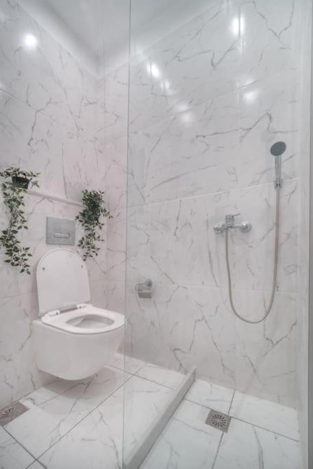 Εστία 10 Λεπτά Από Την Ακρόπολη Apartman Athén Kültér fotó